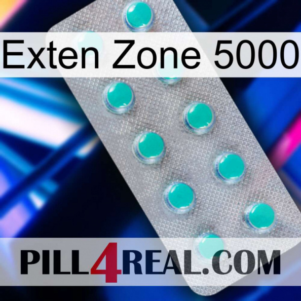 Exten Zone 5000 28.jpg